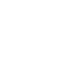 logo Nadácia Hollen